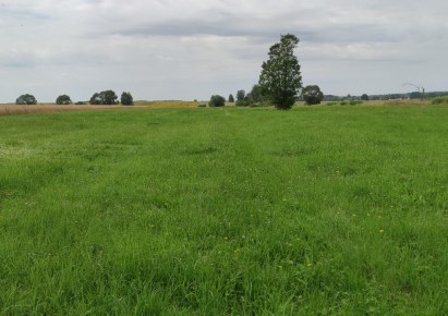 działka na sprzedaż - Narew, Doratynka